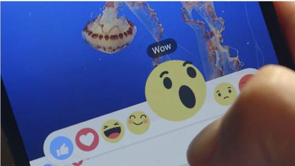 The Expectation of New Facebook Button